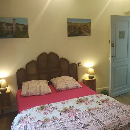 Le Figuier De Pauline B&B Luzech